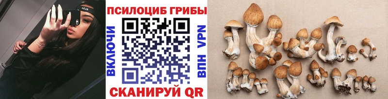 Псилоцибиновые грибы MAGIC MUSHROOMS  цена наркотик  hydra онион  Кизилюрт 